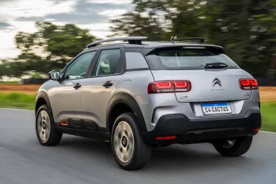 C4 Cactus